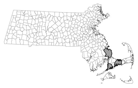 Map showing the distribution of this species in Massachusetts