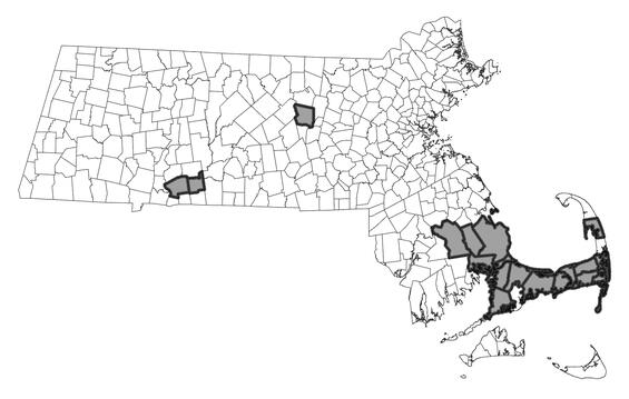 Map showing the distribution of this species in Massachusetts