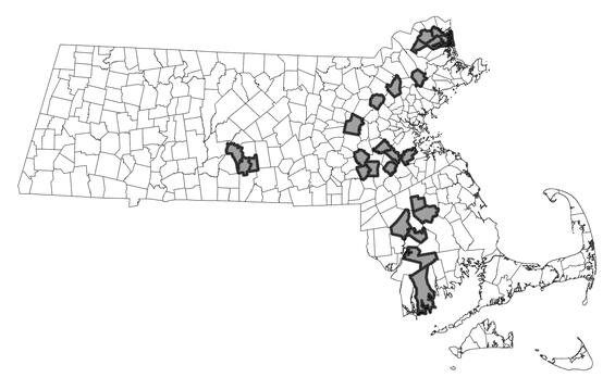 Map showing the distribution of this species in Massachusetts