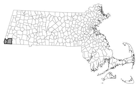 Map showing the distribution of this species in Massachusetts
