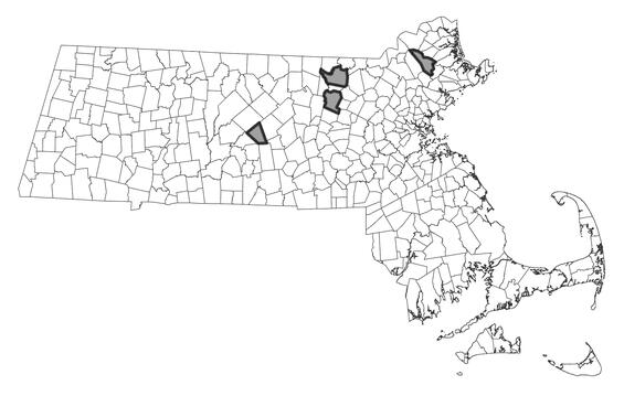 Map showing the distribution of this species in Massachusetts