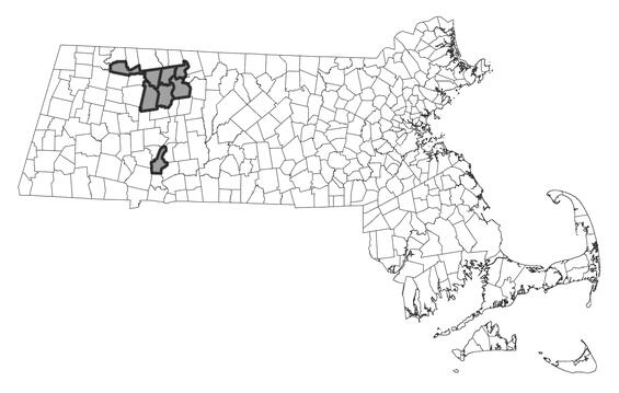Map showing the distribution of this species in Massachusetts