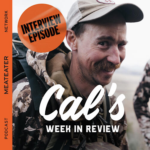 Cal in the Wild podcast.
