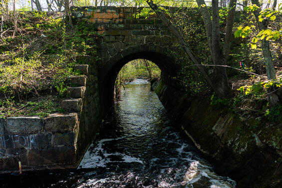 An image of a dam that is part of the Monatiquot River Restoration Project in Massachusetts