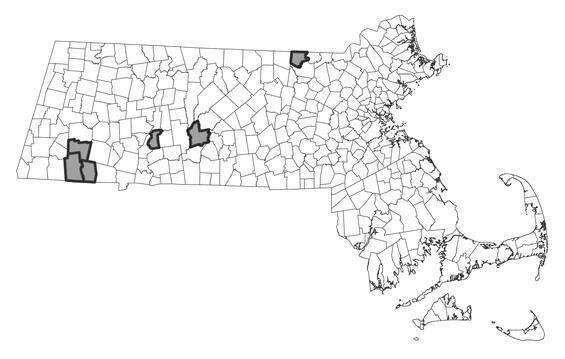 Map showing the distribution of this species in Massachusetts