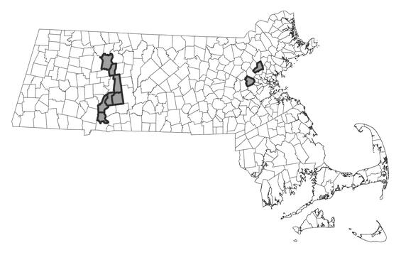 Map showing the distribution of this species in Massachusetts