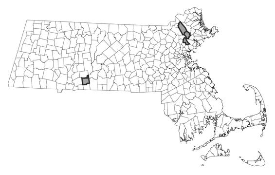 Map showing the distribution of this species in Massachusetts