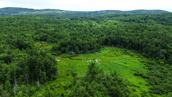 Aerial photograph shows headwaters of the Souhegan River surrounded by forest.