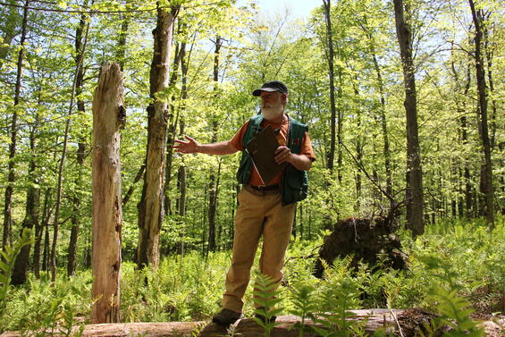 Forester sharing knowledge