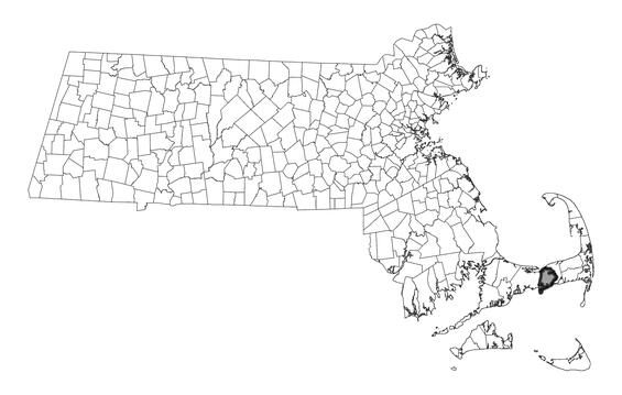 Map showing the distribution of this species in Massachusetts