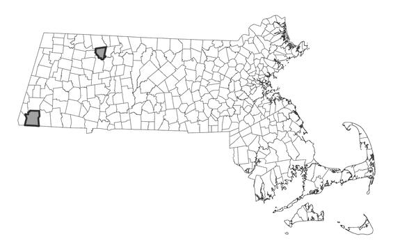 Map showing the distribution of this species in Massachusetts