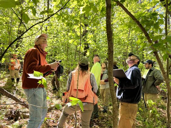 Foresters and landowners in the woods