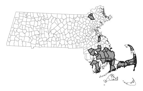 Map showing the distribution of this species in Massachusetts