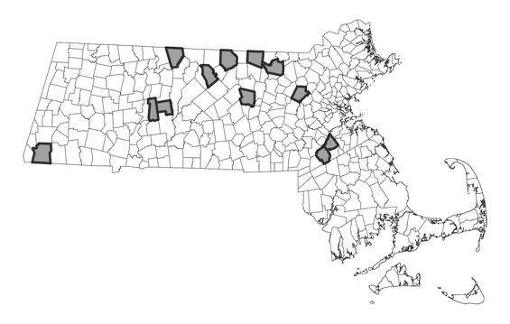 Map showing the distribution of this species in Massachusetts