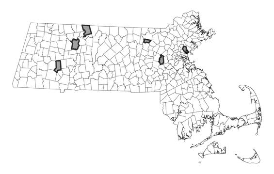 Map showing the distribution of this species in Massachusetts