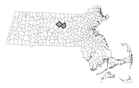Map showing the distribution of this species in Massachusetts