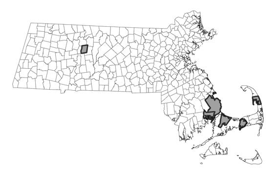 Map showing the distribution of this species in Massachusetts