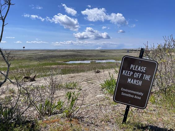 A sign reading "Please keep off the marsh" in front of a sunny wetland.