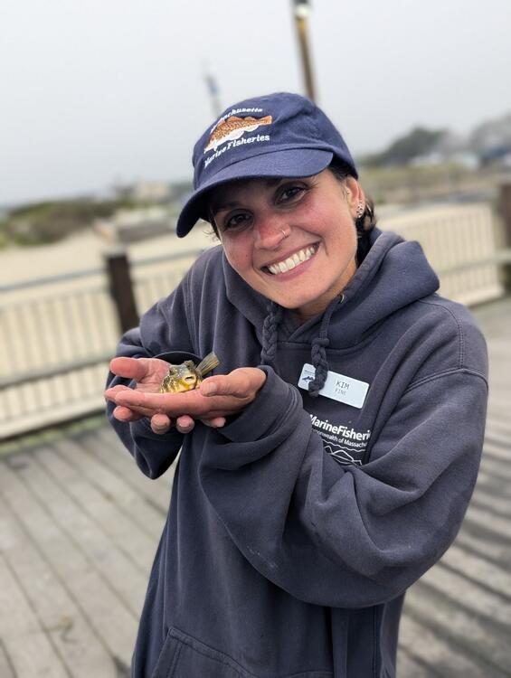 A DMF staff member holding up a tiny puffer fish.