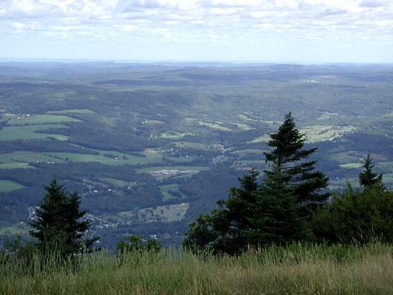 A mountain summit view of Mount Greylock State Reservation