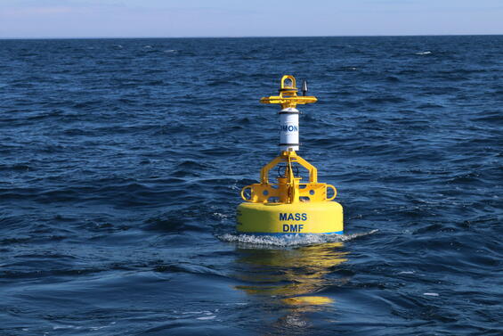 Passive acoustic monitoring buoy. 