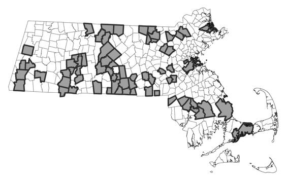 Map showing the distribution of this species in Massachusetts