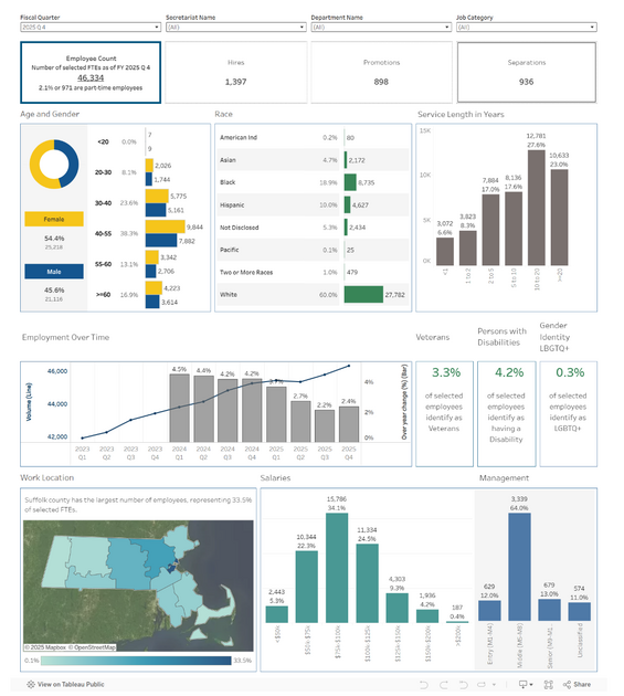 This is a screenshot of the workforce demographic section of the dashboard. Its description follows as the section content.
