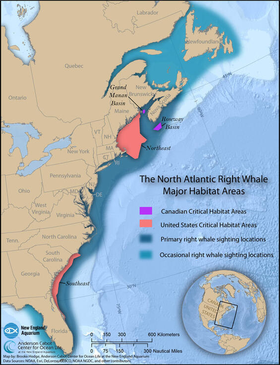 Map showing the distribution of this species