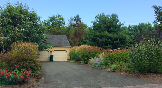 a driveway showing masses of grasses and other perennials along both borders
