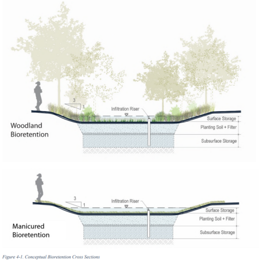 Conceptual Bioretention Cross Sections