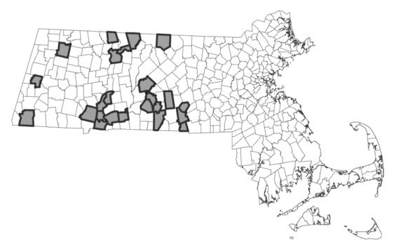 Map showing the distribution of this species in Massachusetts