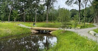 Maillet, Sommes & Morgan Constructed Wetland
