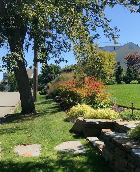 front yard with a buffer of grasses, shrubs, and a tree between the lawn and the road