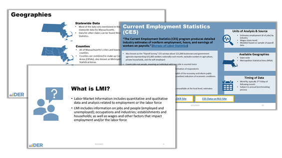 Preview image of LMI 101 Presentation Slides