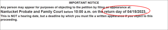 A sample excerpt of a citation return of service. "Return day of 04/15/2023" is circled in red.