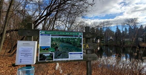 queensville dam and buttery brook restoration sign
