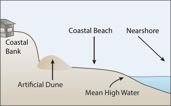 A profile illustration showing the placement of the artificial dune