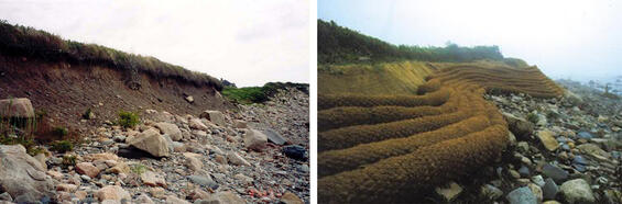 Two views of a coastal bank, the first showing extreme erosion with exposed bank soils and the second with 5 installed coir rolls and fiber blankets