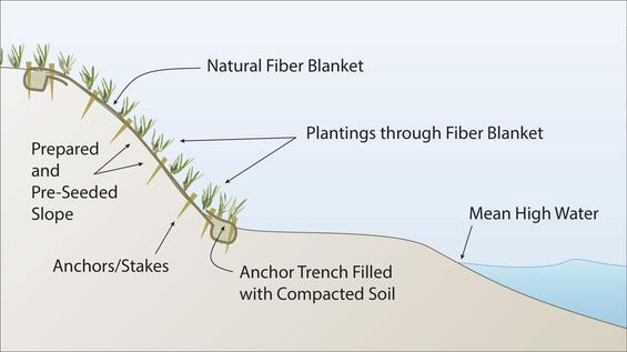 A cross-sectional illustration showing the location of the anchor trenches and stakes for natural fiber blanket installation