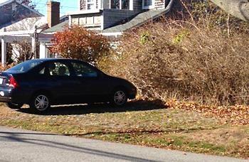 A car parked in a driveway consisting of pervious pavers with grass growing within the segments.