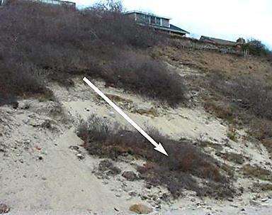 A steep sandy embankment with an arrow showing the direction of erosion and slumping