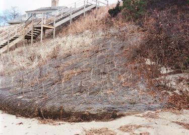 A natural fiber blanket on a coastal bank with grass growing through and a coir roll at the base of the bank