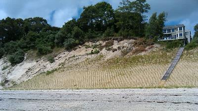 A coastal bank that has been nourished with sediments and planted.