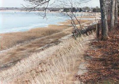 A bank in the foreground with marsh and ocean in the back. A fiber blanket on the bank has brown grass planted in even lines