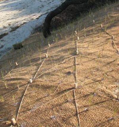Closeup of fiber blanket with evenly spaced oak stakes connected by twine that is flush with the blanket