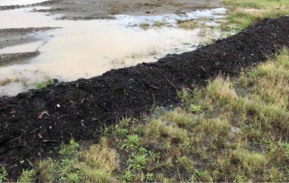 A pool of water and sediments are blocked from flowing offsite by a compost filter berm.