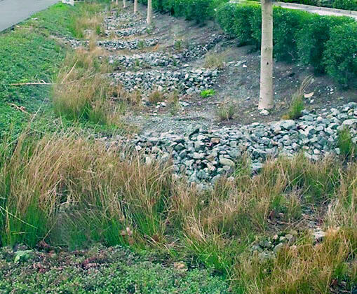 Check dams made out of various size stones hold water in place so that it has a chance to infiltrate into the ground.