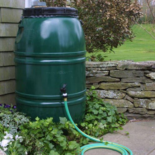 A rain barrel with a spicket and hose used  to catch and reuse roof runoff.