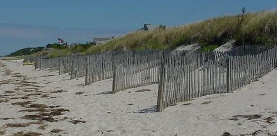 Numerous sand fences are situated in a row along a sandy beach to help build the landward dune.