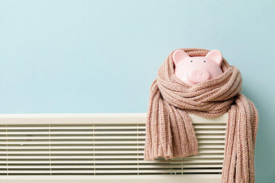 pig on a heater with a scarf around it referencing the need to stay warm